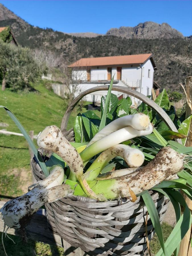 Agriturismo Grilla Βίλα Mele Εξωτερικό φωτογραφία