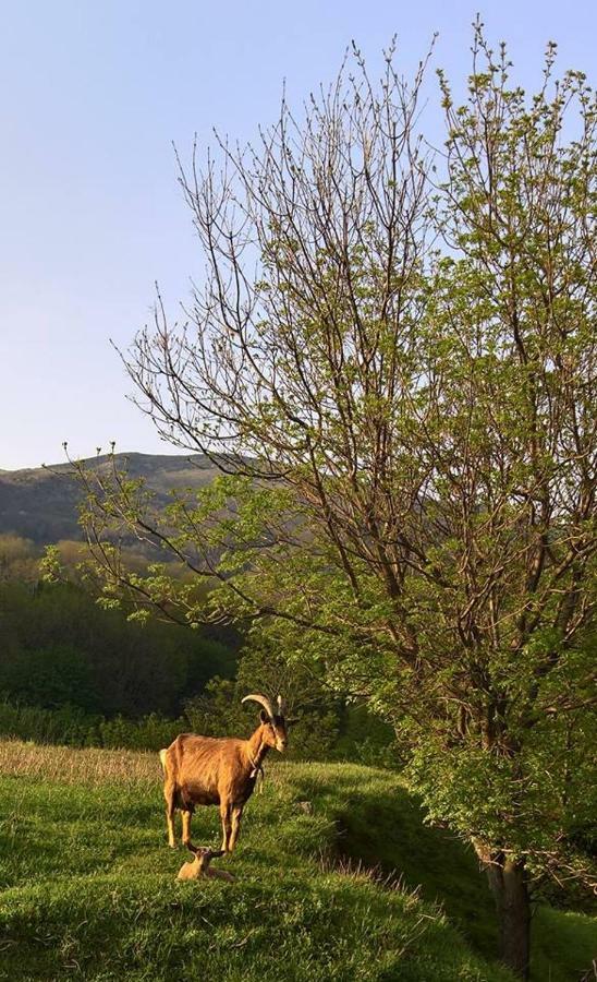 Agriturismo Grilla Βίλα Mele Εξωτερικό φωτογραφία