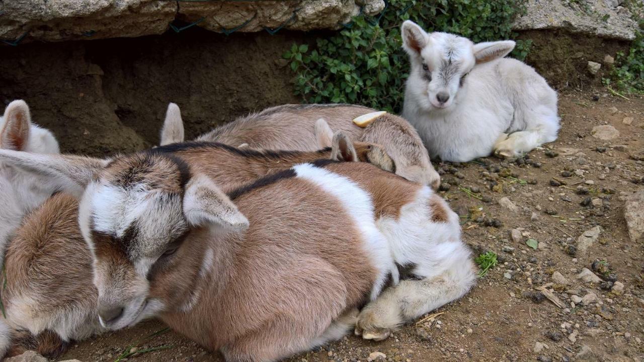 Agriturismo Grilla Βίλα Mele Εξωτερικό φωτογραφία