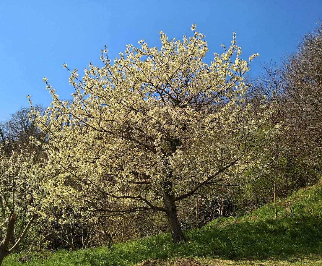 Agriturismo Grilla Βίλα Mele Εξωτερικό φωτογραφία